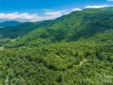 Set high above North Carolina's largest private lake, this - photo 12