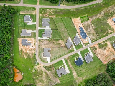 Welcome to The Highlands Phase 12! Build your own dream home on - photo 12