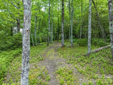 Set high above North Carolina's largest private lake, this - photo 20