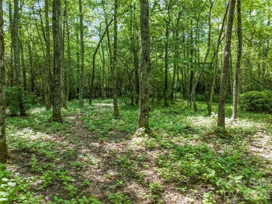 Set high above North Carolina's largest private lake, this - photo 21