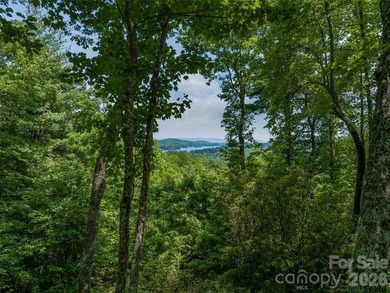 Set high above North Carolina's largest private lake, this - photo 22