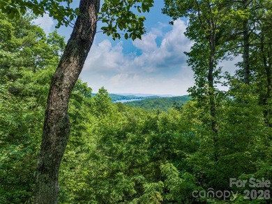 Set high above North Carolina's largest private lake, this - photo 23