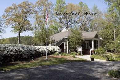 Affordable Waterfront Parcel in the premier Community of Mallard - photo 3
