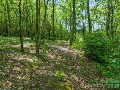 Set high above North Carolina's largest private lake, this - photo 24