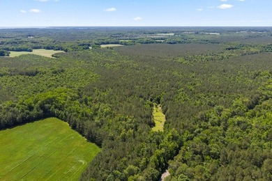 This 372-acre tract offers a rare opportunity to own a large - photo 1