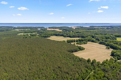 This 372-acre tract offers a rare opportunity to own a large - photo 5