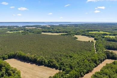 This 372-acre tract offers a rare opportunity to own a large - photo 6