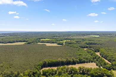 This 372-acre tract offers a rare opportunity to own a large - photo 8