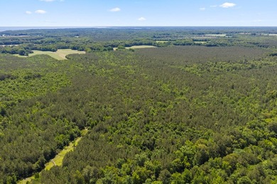 This 372-acre tract offers a rare opportunity to own a large - photo 9
