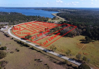 Lake Palestine Acreage For Sale in Frankston Texas
