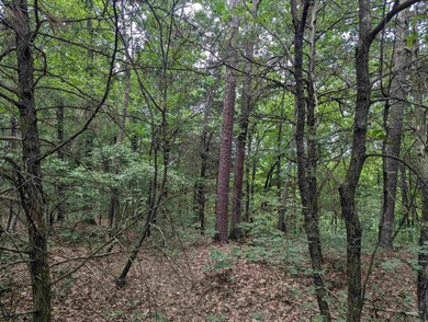Looking for some Highway 16 road frontage, here are 10 acres of - photo 3
