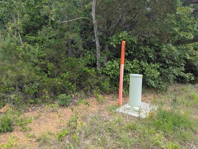 Looking for some Highway 16 road frontage, here are 10 acres of - photo 4