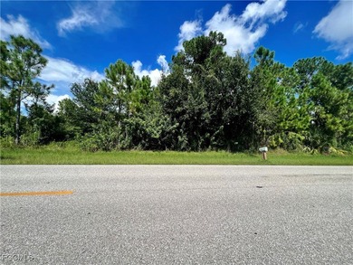 Port Charlotte Waterway Area Lot For Sale in Port Charlotte Florida