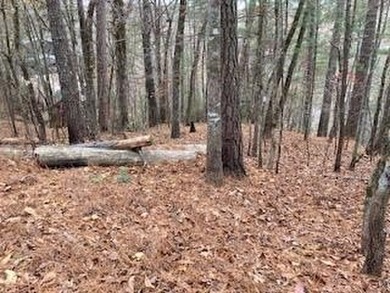 Lake Lot For Sale in Ellijay, Georgia