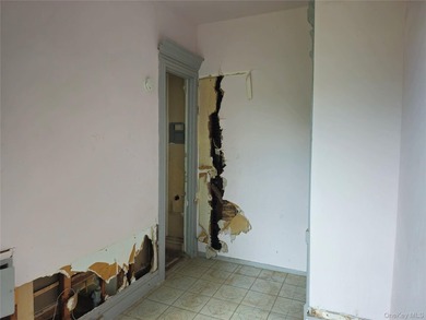 Three unit brownstone, centrally located to all amenities, needs - photo 10