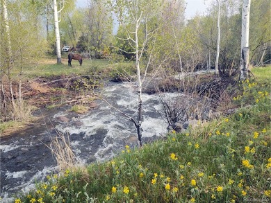 (private lake, pond, creek) Lot Active Under Contract in Crestone Colorado