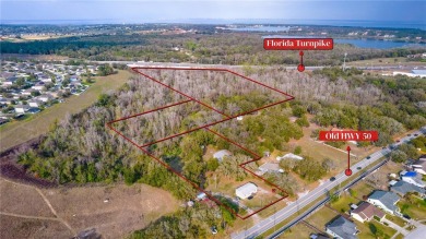 (private lake, pond, creek) Home For Sale in Clermont Florida