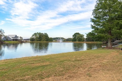Welcome to Browning Creek Subdivision! This new-construction - photo 42