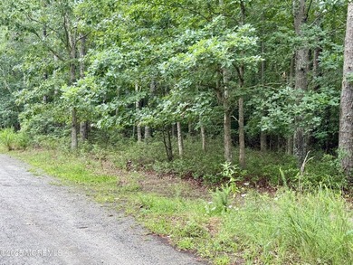 Developers and investors--don't miss this rare opportunity to - photo 8