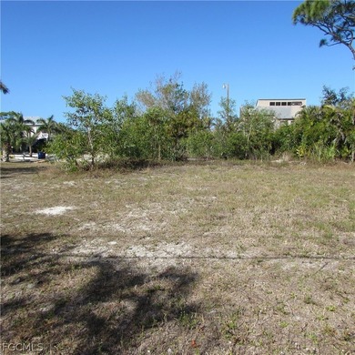 CAPTAIN'S COVE homesite in Bokeelia. Boating subdivision without - photo 12
