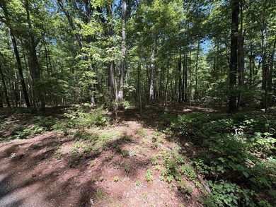 No restrictions and No Covenants! Enjoy Country living on this 1 - photo 3