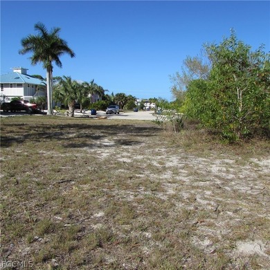 CAPTAIN'S COVE homesite in Bokeelia. Boating subdivision without - photo 14