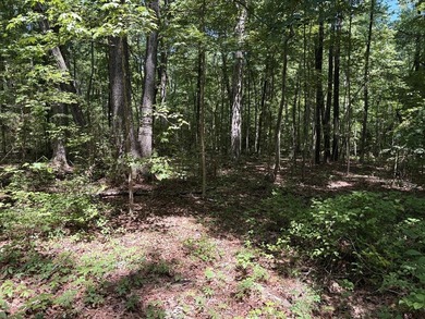 No restrictions and No Covenants! Enjoy Country living on this 1 - photo 4