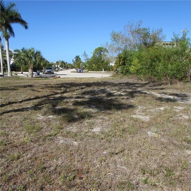 CAPTAIN'S COVE homesite in Bokeelia. Boating subdivision without - photo 15
