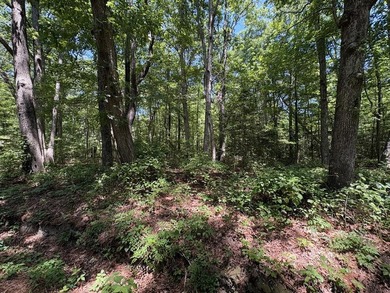 No restrictions and No Covenants! Enjoy Country living on this 1 - photo 5