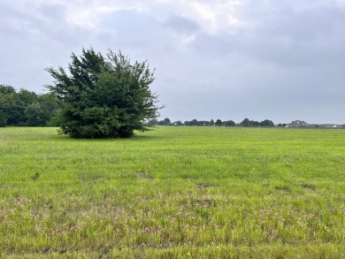 Multiple Off-Water Lots in The Shores! - Lake Lot For Sale in Corsicana, Texas