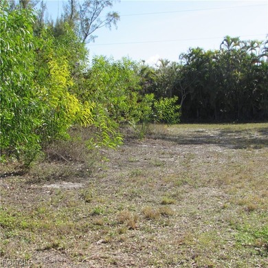 CAPTAIN'S COVE homesite in Bokeelia. Boating subdivision without - photo 20
