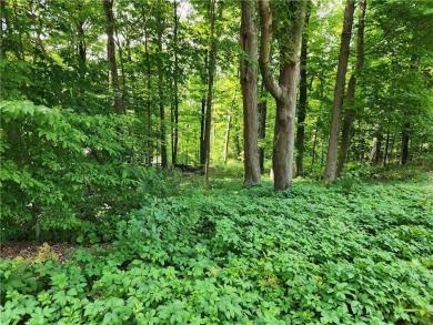 Seven Hills Lake Lot Sale Pending in Carmel New York