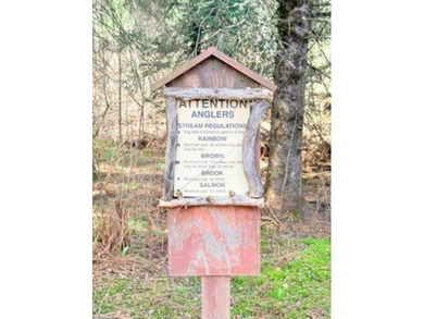 Hidden Gem on the Cranberry River ? 10 Acres Near Herbster, WI - photo 25