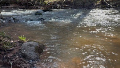 Hidden Gem on the Cranberry River ? 10 Acres Near Herbster, WI - photo 26