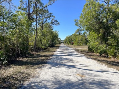 Under contract-accepting backup offers. Great opportunity! - photo 4