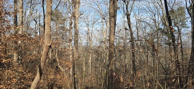 Lake Lanier Acreage For Sale in Ball Ground Georgia