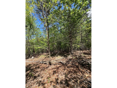 Great one acre lot located in the Lakeland Pines Development - photo 3