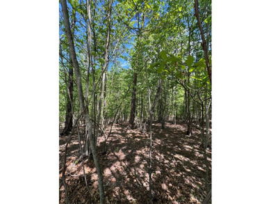 Great one acre lot located in the Lakeland Pines Development - photo 5