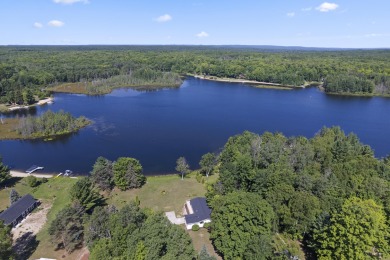 Lewis Lake - Otsego County Home For Sale in Johannesburg Michigan