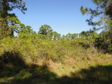 Lehigh Acres Area Lot For Sale in Lehigh Acres Florida
