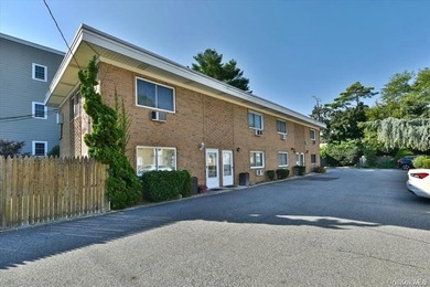 Sunny, Open Concept, Townhouse in Prime Hewlett-Woodmere School - photo 2
