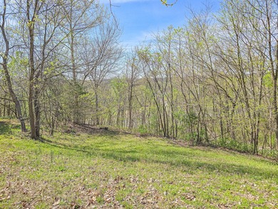 True lake front. Walk out the back, head downhill, and you're at - photo 3
