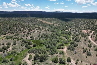 Lake Lot For Sale in Durango, Colorado