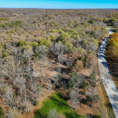 This 8 m/l-acre tract offers a great opportunity for a - photo 2