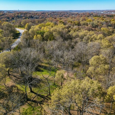This 8 m/l-acre tract offers a great opportunity for a - photo 3