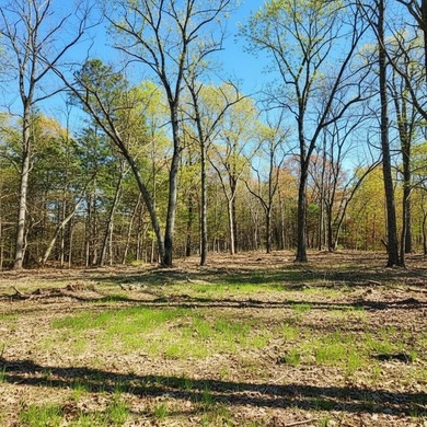This 8 m/l-acre tract offers a great opportunity for a - photo 4