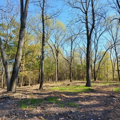 This 8 m/l-acre tract offers a great opportunity for a - photo 6