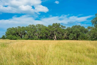 Norco Ranch West is a pristine river property located near the - photo 10