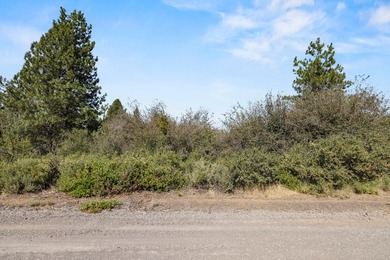 Don't miss your opportunity to secure deeded access to a private - photo 3