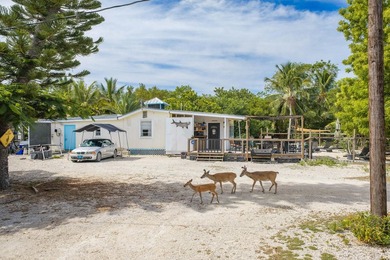 Imagine having the freedom to create your own secluded retreat - photo 3